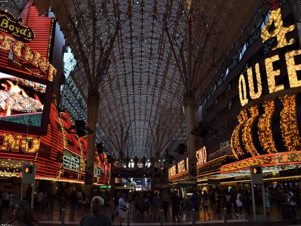 ការយល់ដឹងអំពីឌីណាមិចនៃកាស៊ីណូ