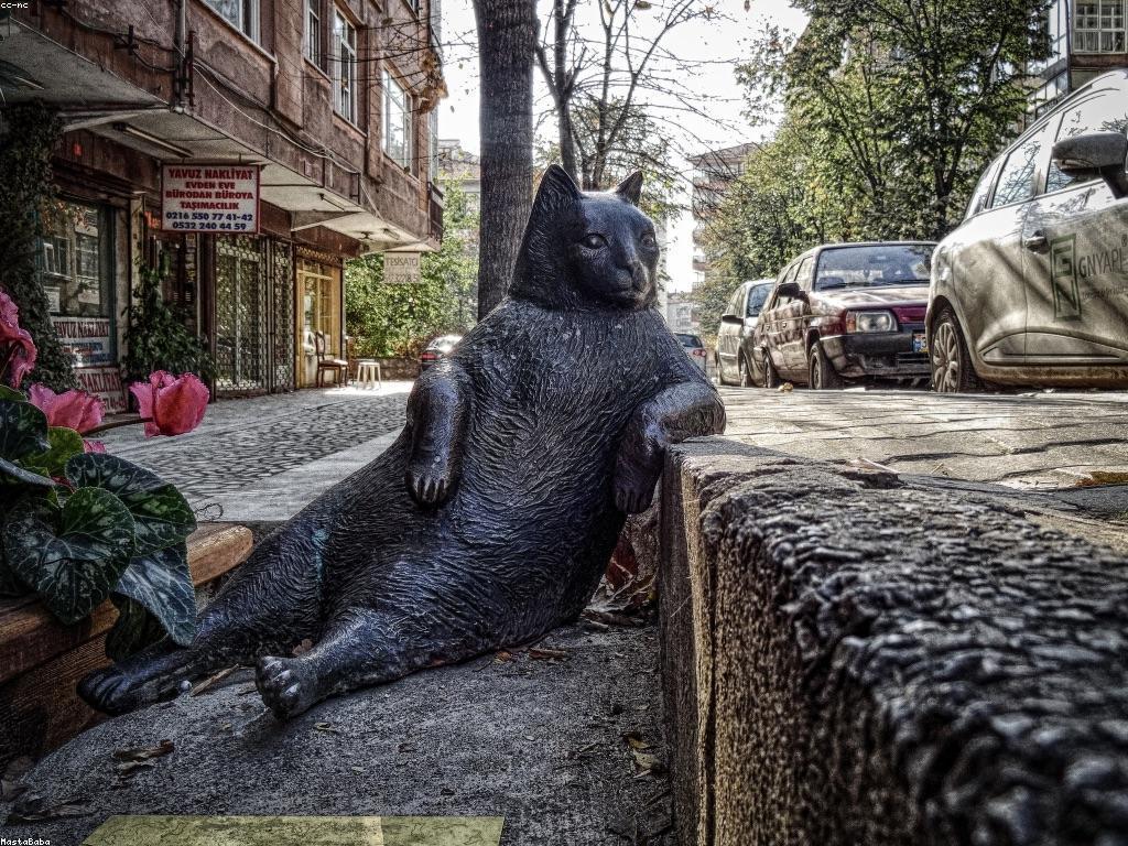 ការយល់ដឹងអំពីប្រតិបត្តិការកាស៊ីណូ