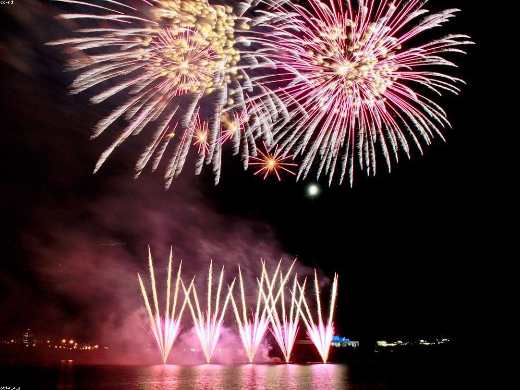 ការយល់ដឹងអំពីឌីណាមិចនៃកាស៊ីណូ