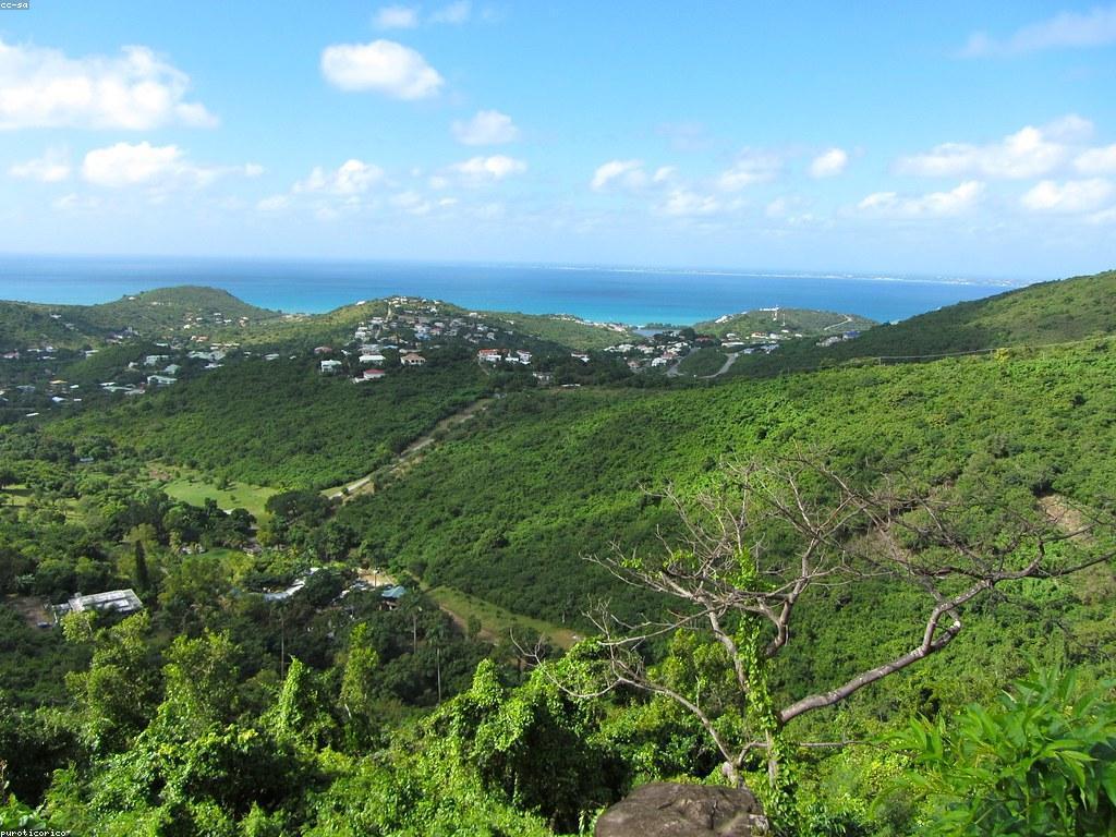 ការយល់ដឹងអំពីវប្បធម៌កាស៊ីណូ